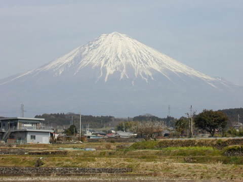 芝川町からの富士