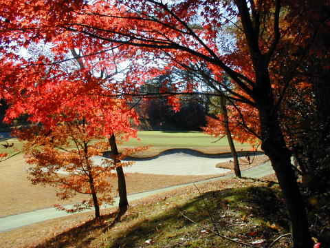 旭CCの紅葉