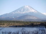 精進湖の子抱き富士