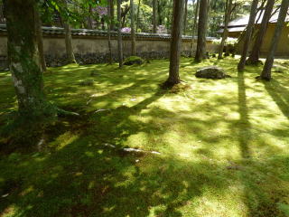 西芳寺（苔寺）の庭園の一部