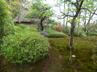 鈴虫寺の庭園の一部