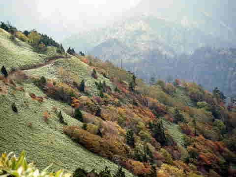 園原　富士見台の紅葉