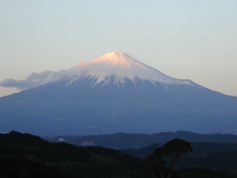 富嶽ＣＣからの富士